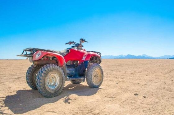 Join a 3-hour safari with dinner and exciting entertainment