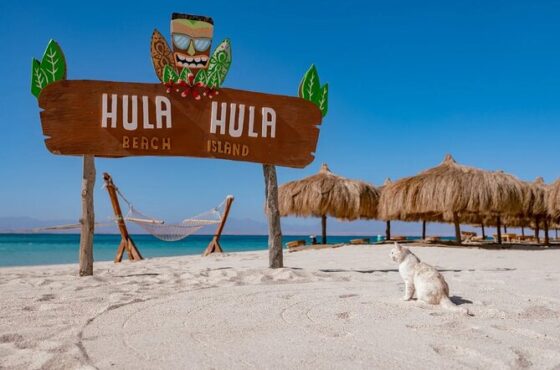 Uncover the Magic of Hula Hula Island: Paradise Found
