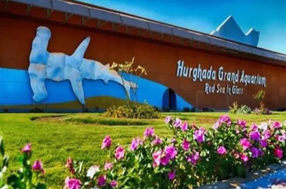 Visit the Grand Aquarium Hurghada and see amazing sea life