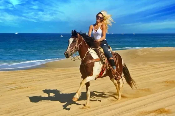 Book Horse Riding Trips in Hurghada Now
