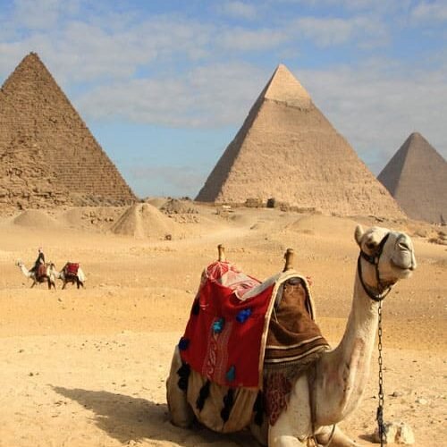 Super Cairo Bus: The Best Way to Get Around City