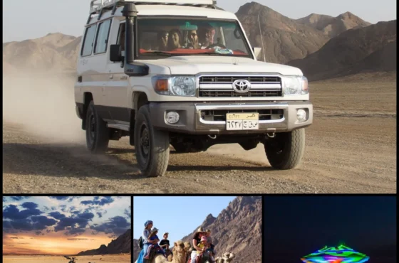 Discover the Most Popular Safari Spots
