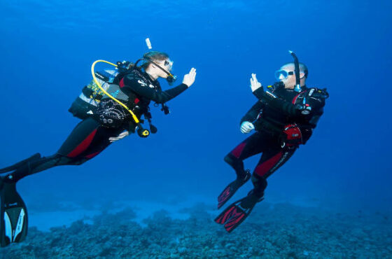 Join Our Open Water Dive Course in Hurghada – Book Now