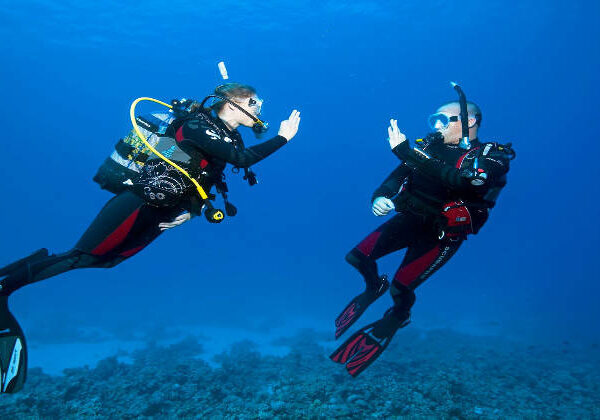 Join Our Open Water Dive Course in Hurghada – Book Now