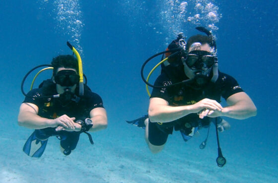 Find the Best Higher-Level Advanced Diving Course in Hurghada