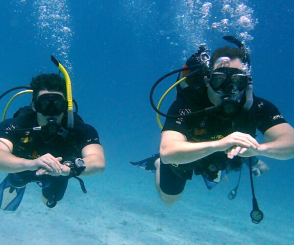 Find the Best Higher-Level Advanced Diving Course in Hurghada