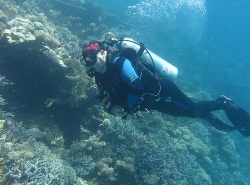 Daily Diving Cruises in Hurghada – Book Your Adventure Now