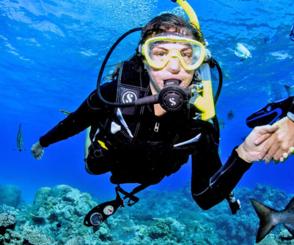 Beginner Intro Diving in Hurghada: A Simple Guide