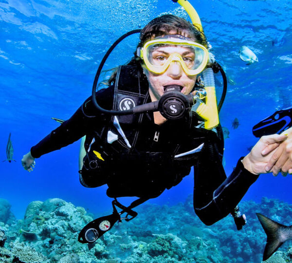intro diving
