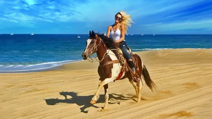 Horse Riding Hurghada