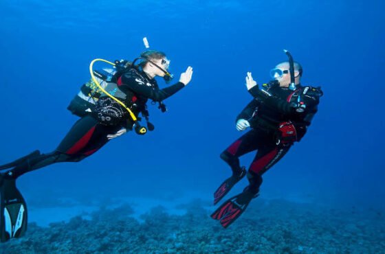 Join Our Open Water Dive Course in Hurghada – Book Now