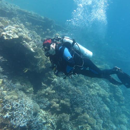daily diving