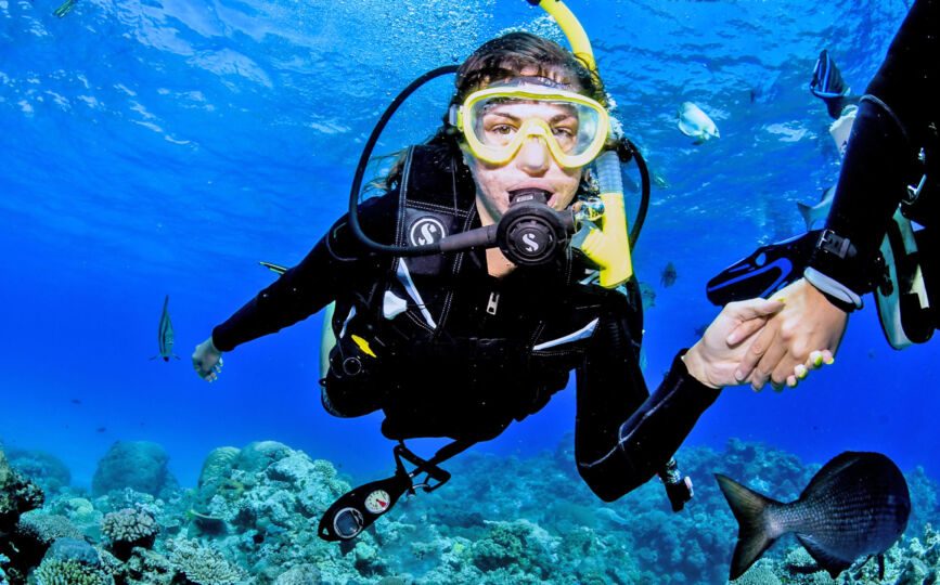 intro diving